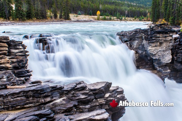 Athabasca Falls During May