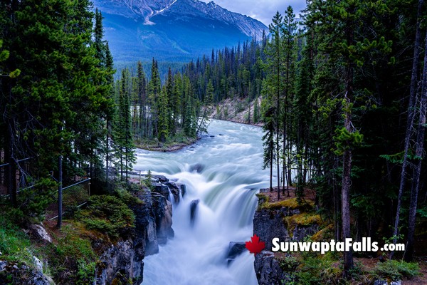 Sunwapta Falls in May